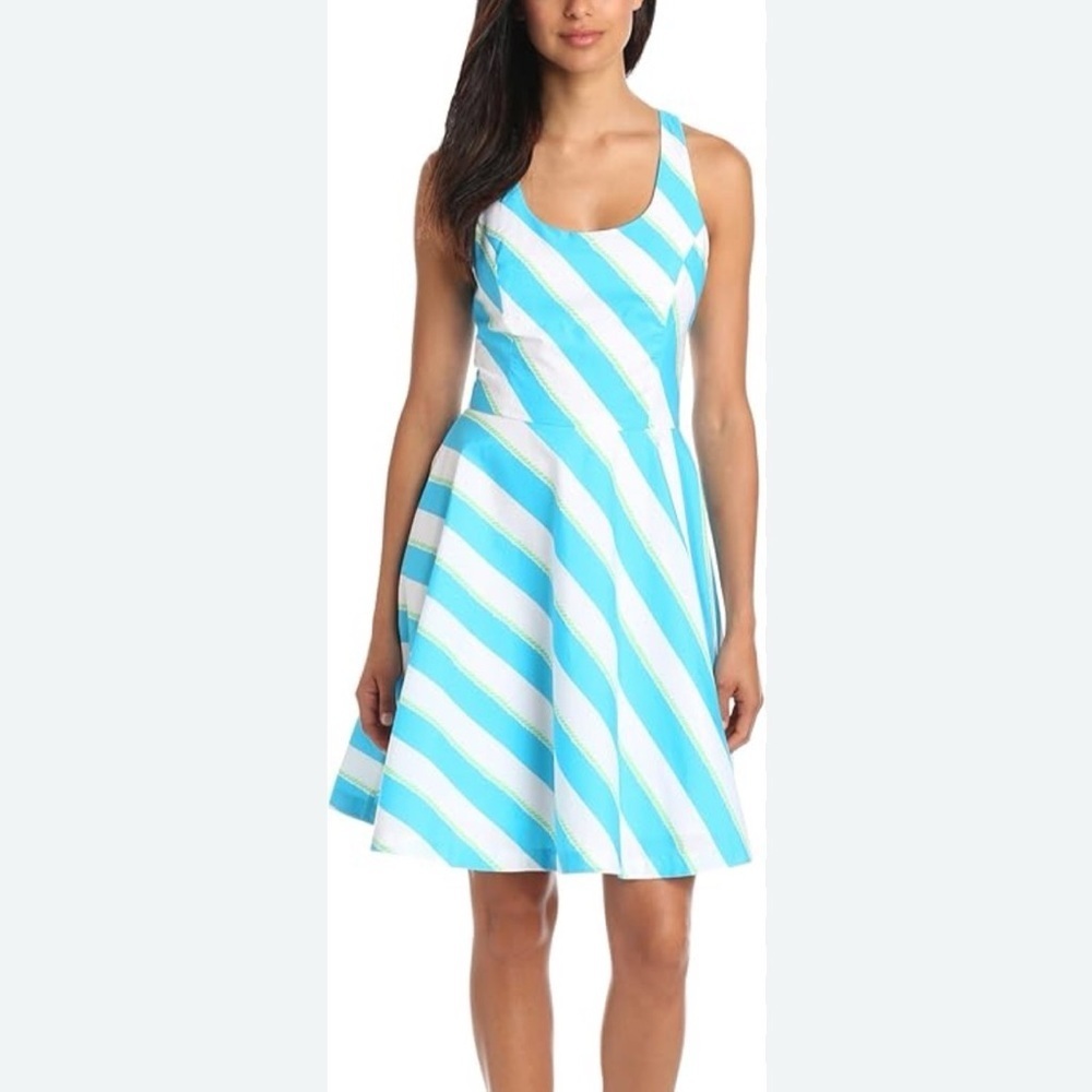 Lilly Pulitzer Zo Blue Roper Stripe Fit and Flare Dress Sz 6 - Picture 2 of 9